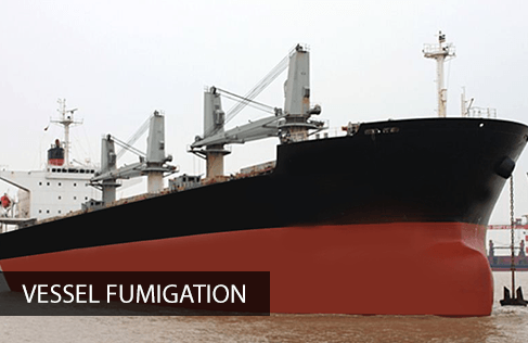 Vessel Fumigation